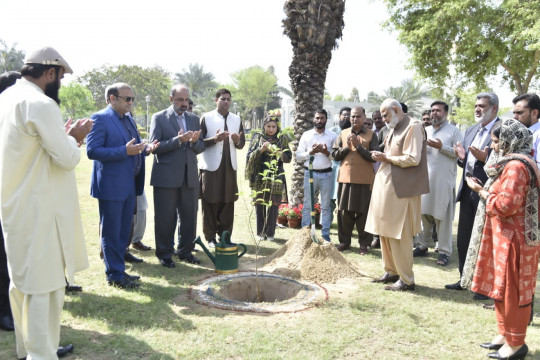 Bankers club under auspices of State Bank of Pakistan provided 200 fruit trees to IUB