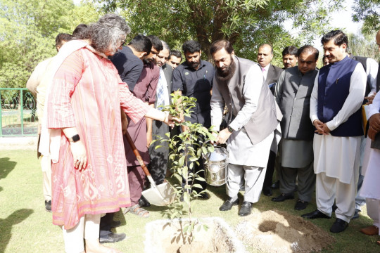 Honorable Governor Punjab and Chancellor IUB planting tree at Vice Chancellor's Secretariat