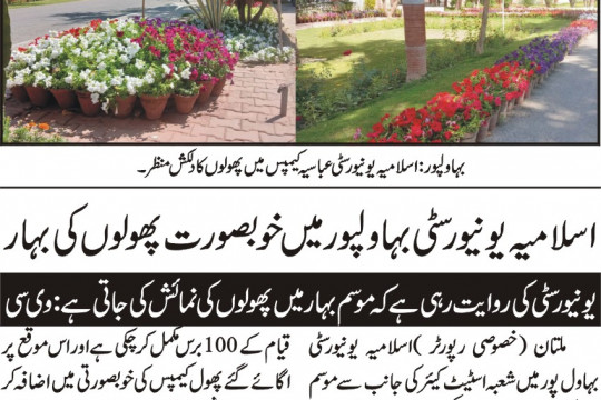 News Cuttings 31 March 2026