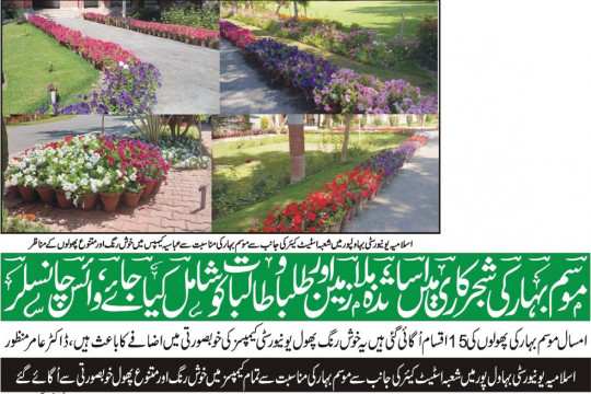 News Cuttings 31 March 2026