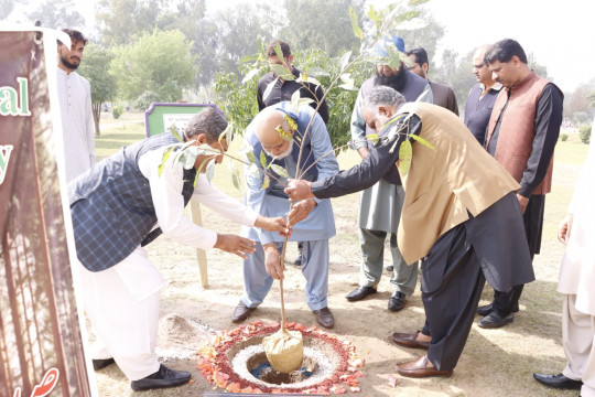 Tree plantation begins at the Islamia University of Bahawalpur in connection with the Plant for Pakistan Campaign