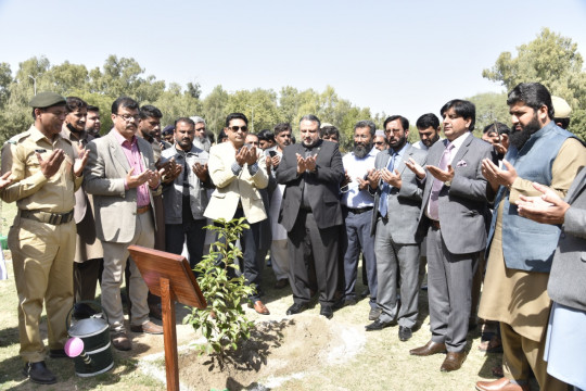 Tree Plantation Drive of District Bahawalpur begins at IUB