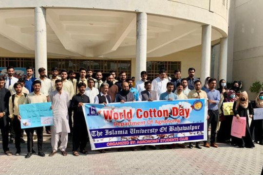 An awareness walk was organized by IUB in connection with World Cotton Day