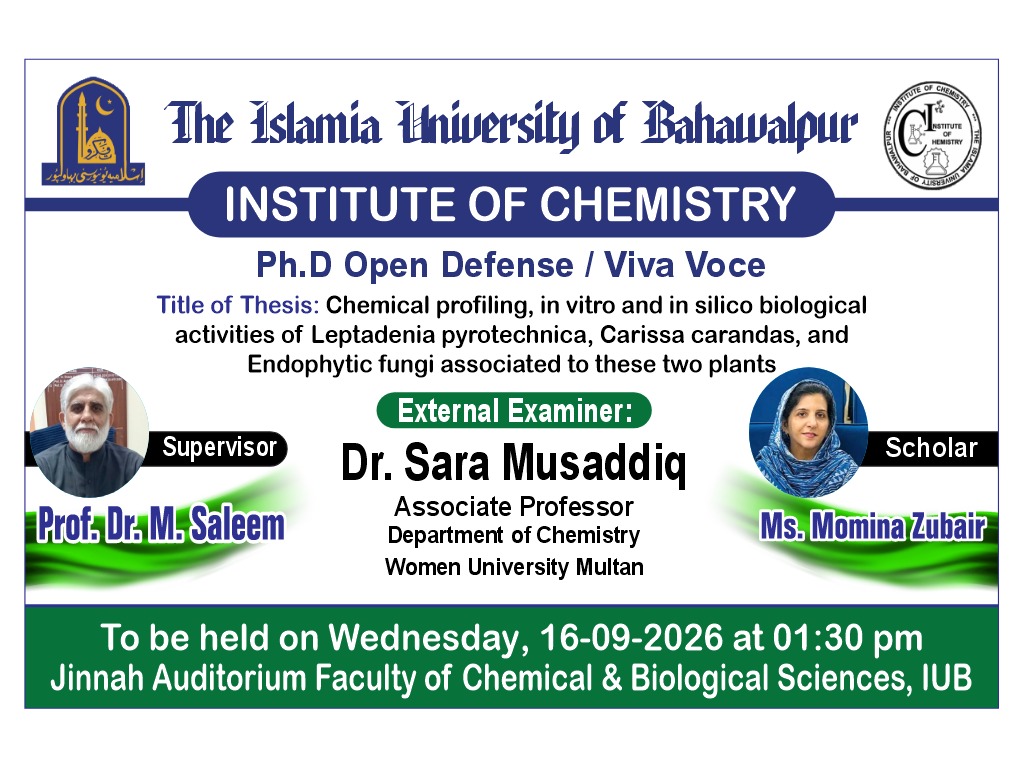 PhD Open Defense at Institute of Chemistry