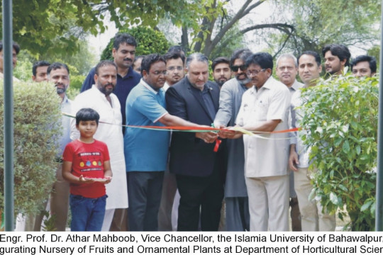 Inauguration of Fruit and Ornamental Plant Nursery at Baghdad-ul-Jadeed Campus, the Islamia University of Bahawalpur