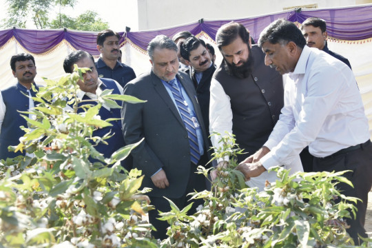 Governor Punjab Engr. Muhammad Baligh ur Rehman visited the National Cotton Breeding Center, IUB