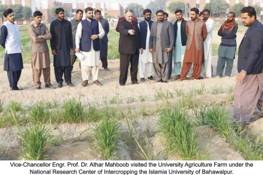 The method of intercropping of different crops by IUB is becoming popular all over the country