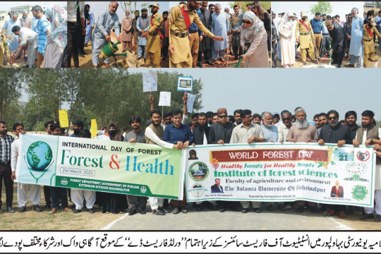 World Forest Day 2023 was organized by IUB in collaboration with Forest Department, Government of Punjab