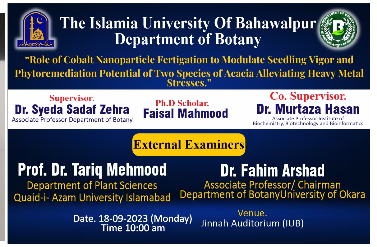 phd botany