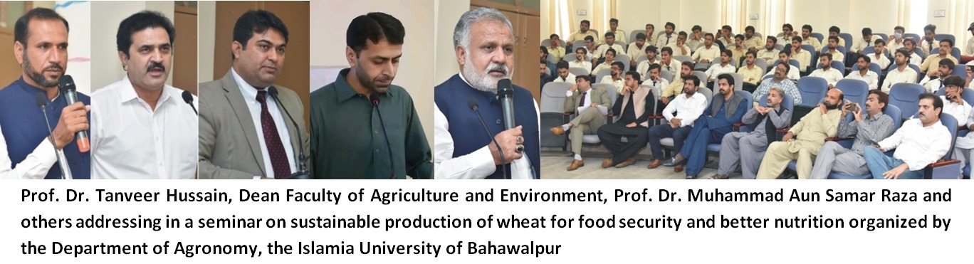 wheat seminar eng