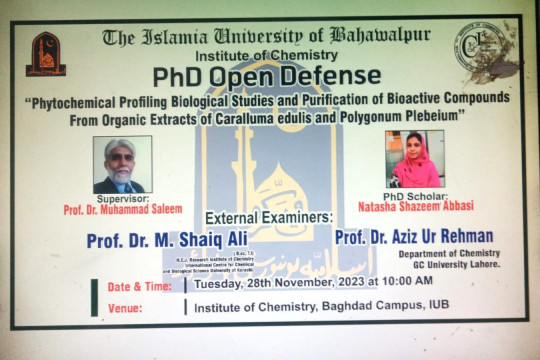 PhD Open Defense at the Institute of Chemistry, IUB