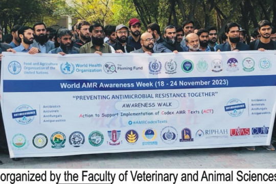 An awareness walk was organized in connection with this World AMR Awareness Week held at the IUB