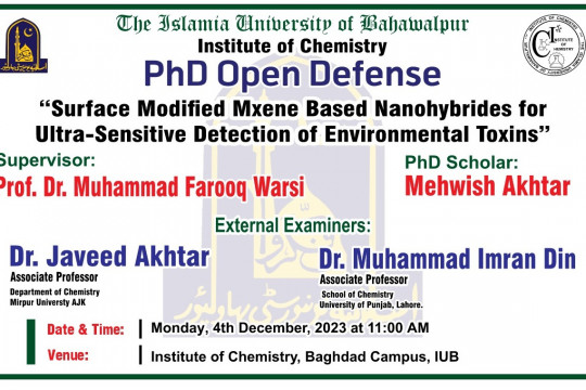 PhD Open Defense at the Institute of Chemistry, IUB