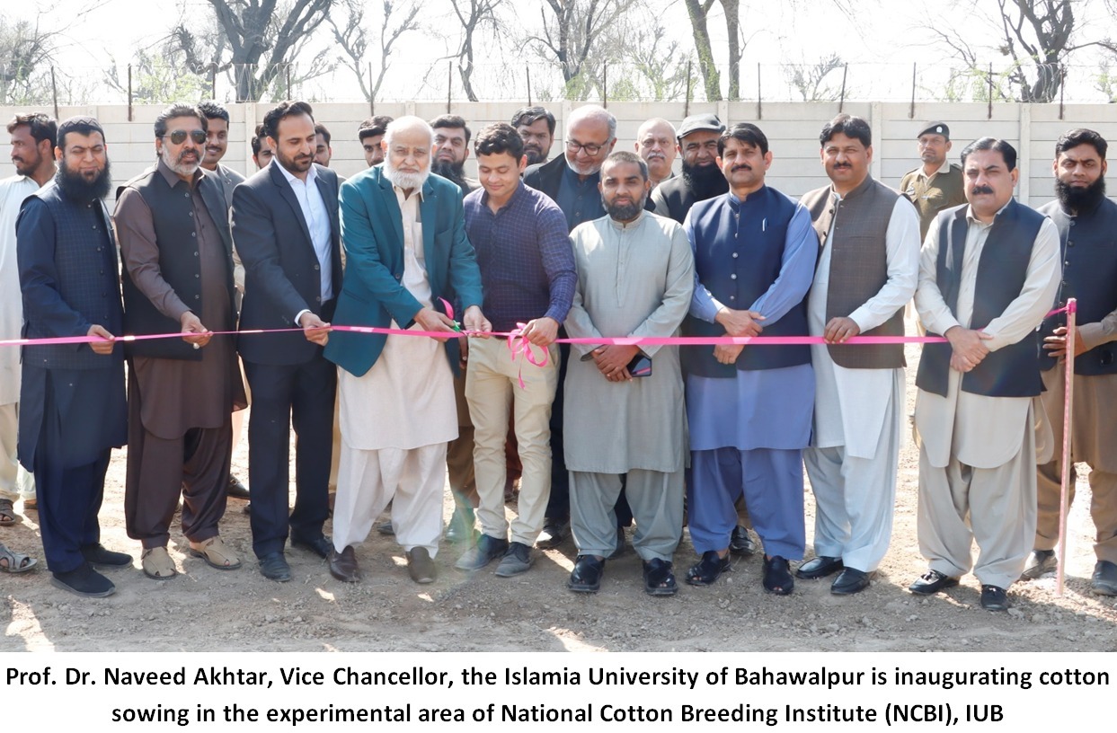 VC Naveed akhtar sowing cotton (eng)