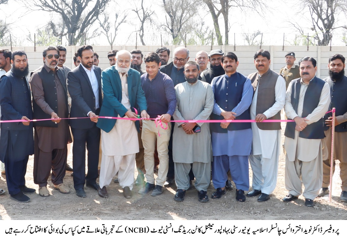 VC Naveed akhtar sowing cotton (urdu)