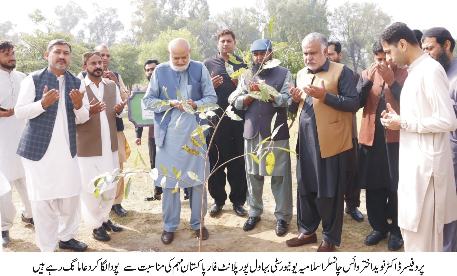 tree plantation (urdu 1)