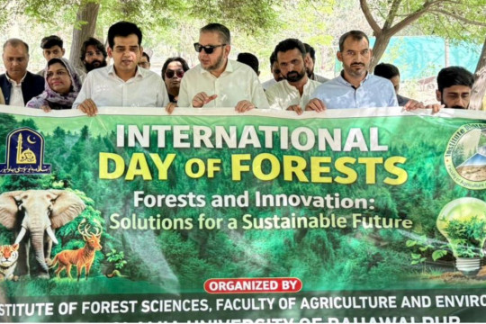 In connection with the International Day of Forests 2026, a tree plantation activity was held