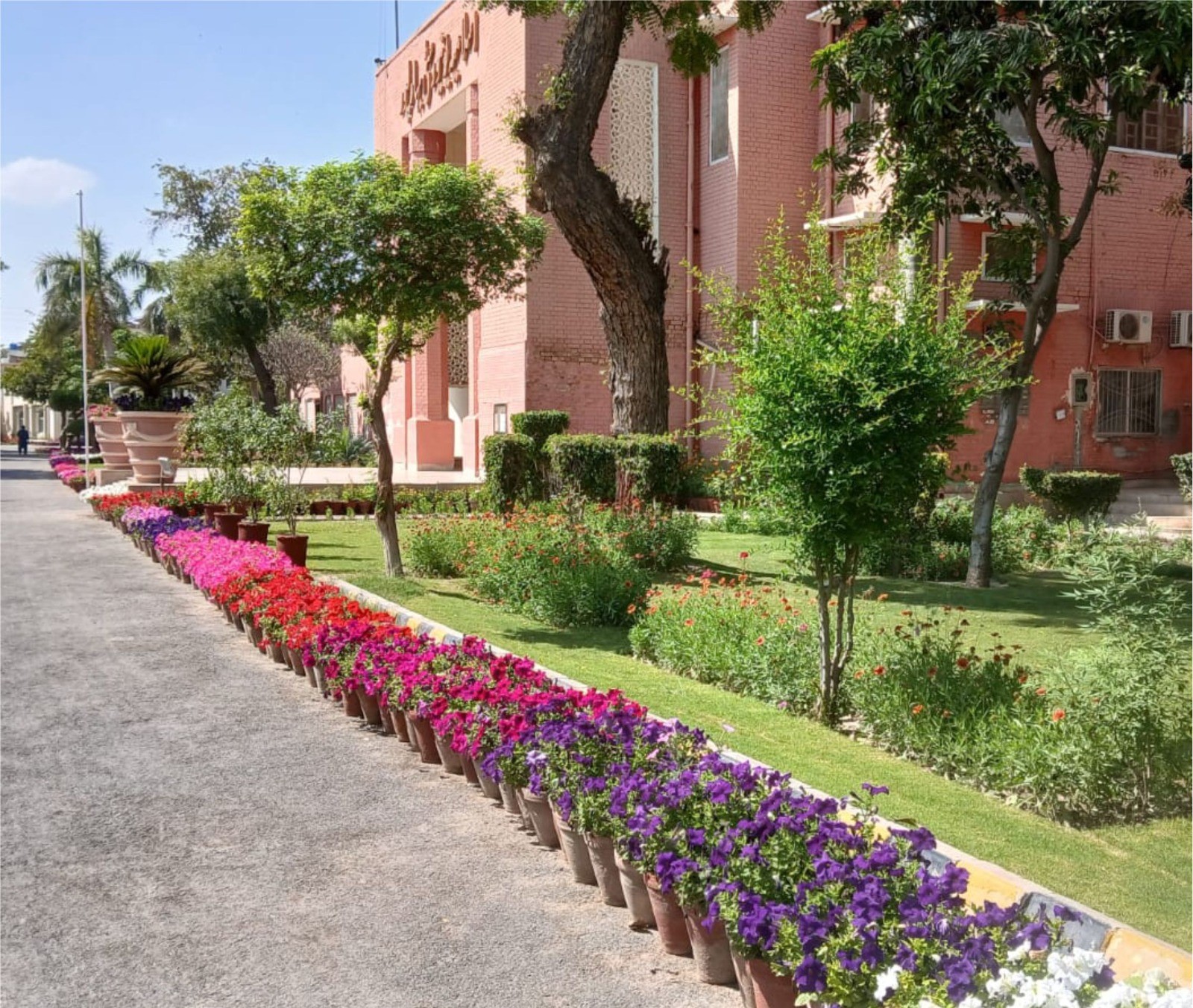 IUB Estate Care has decorated each campus with a variety of vibrant flowers to celebrate spring 2026.