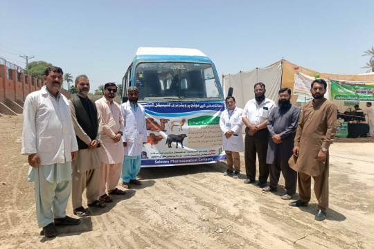 A Free Veterinary Treatment Camp was organized from at Mandi Maweshian, Bahawalpur by the IUB