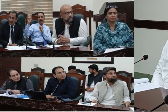 Senate committee meeting to make decisions regarding educational institution affiliation cases.