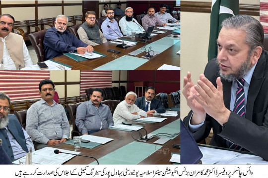 The first meeting of the Steering Committee of the Business Incubation Center, IUB