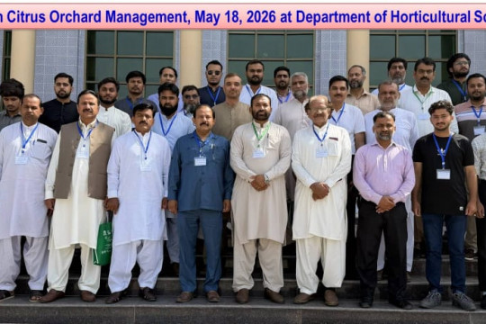 The Islamia University of Bahawalpur conducted successful Citrus Orchard Management Training