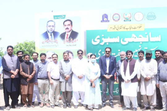 Government of Punjab Welfare Initiative—Sanjhi Sabzi-Muft Sabzi: Start of Vegetable Cultivation at the IUB