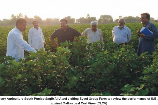 Secretary Agriculture South Punjab Saqib Ali Ateel visited Evyol Group Farm, IUB