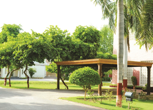 Faculty & Staff