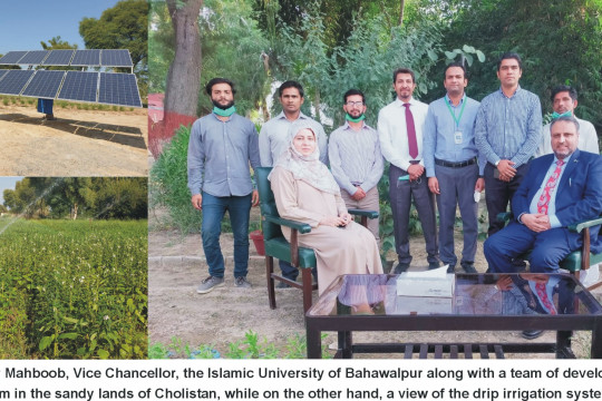 IUB Scientists prepare drip Irrigation system to grow multi crops in desert lands