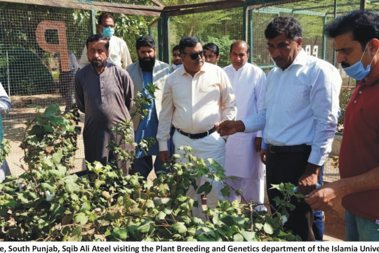 Secretary Agriculture South Punjab visit to IUB