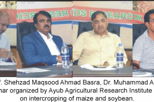Department of Cholistan Institute of Desert Studies, IUB addressed the seminar participants