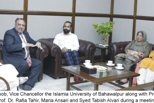 A Seminar and Workshop on Color of Pakistan at IUB