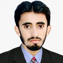 Syed Zulfiqar Haider Bukhari